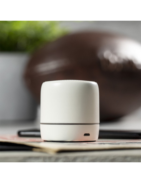 Altavoz Medran RCS