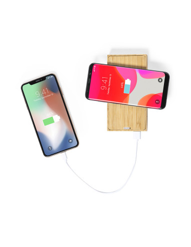 Power Bank Diuk