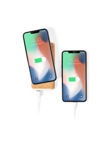 Power Bank Limerick