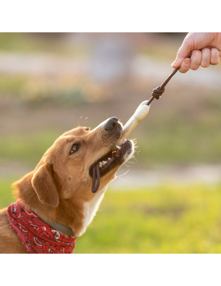 Mordedor Mascotas Salmer