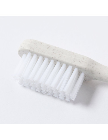 Cepillo Dientes Duncan