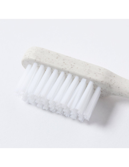 Cepillo Dientes Duncan