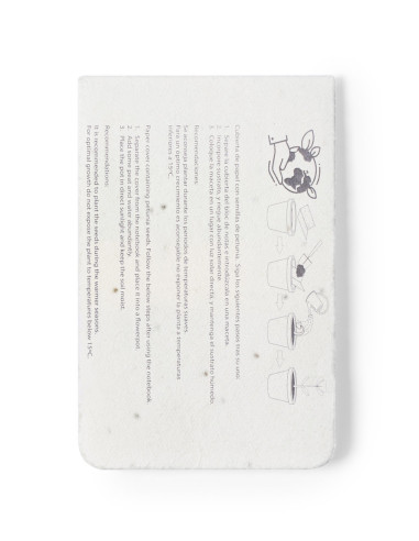 Bloc Notas Semillas Amenti