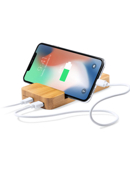 Power Bank Dralia