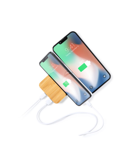 Power Bank Dralia