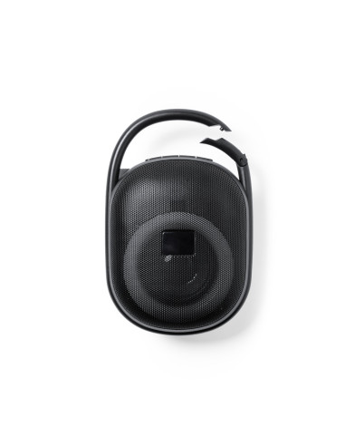 Altavoz Walen