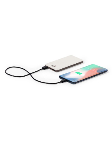 Power Bank Mayer