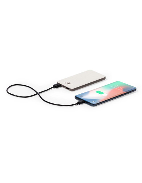 Power Bank Mayer