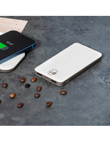 Power Bank Mayer