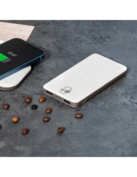 Power Bank Mayer