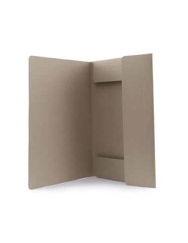 Carpeta Ecosum
