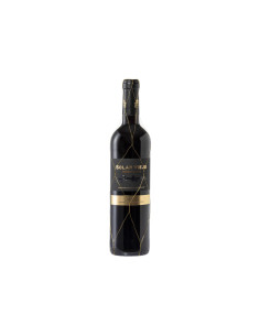 Botella Vino Tinto Solar Viejo 2