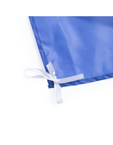 Bandera Dambor