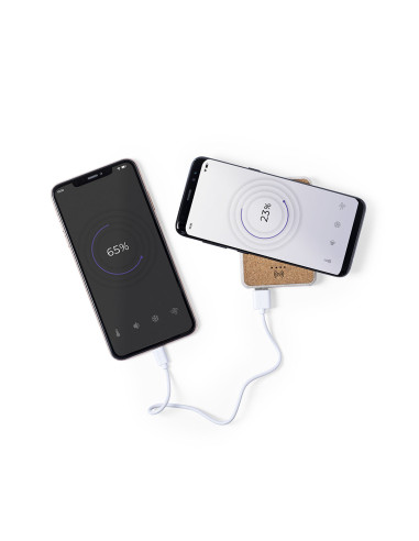 Power Bank Merak