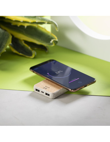Power Bank Merak