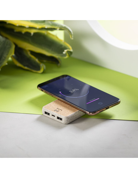 Power Bank Merak