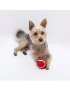 Pelota Niki