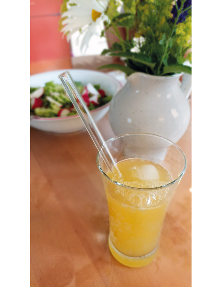 Pajita de vidrio DRINK SMART