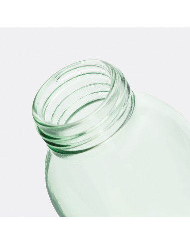 Botella de vidrio TAKE SMART