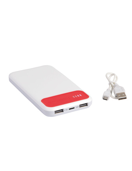 Powerbank SILICON VALLEY