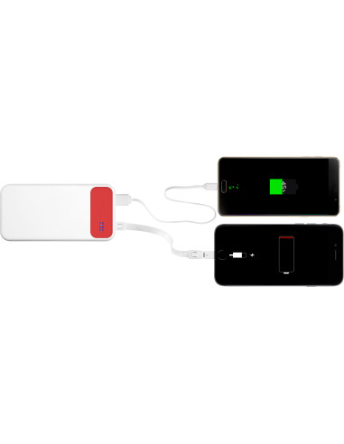 Powerbank SILICON VALLEY