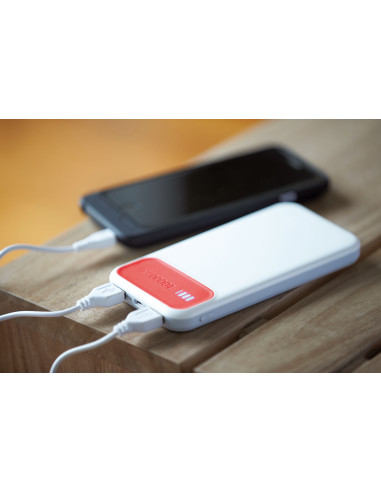 Powerbank SILICON VALLEY