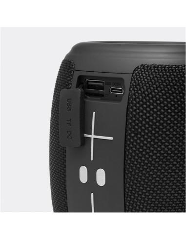 Altavoz inalámbrico RESISTANT