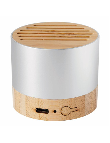 Altavoz inalámbrico PURE SOUND