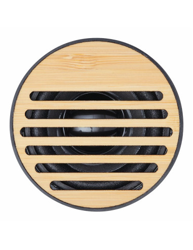Altavoz inalámbrico PURE SOUND