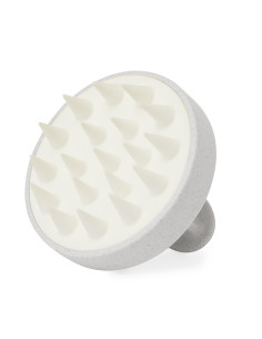 Emulsionador Nocote 2