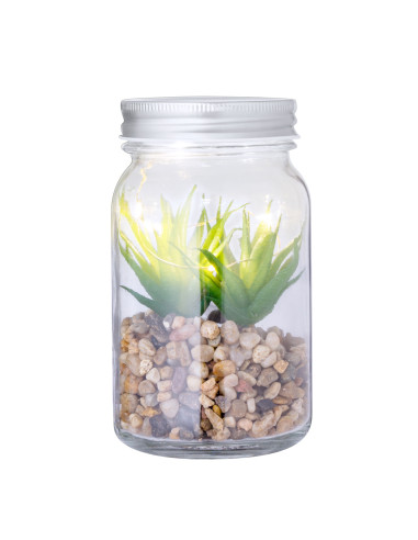 Planta Decorativa Kyala