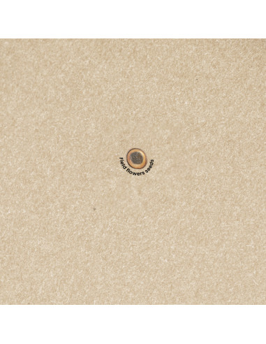 Bloc Notas Semillas Baupres