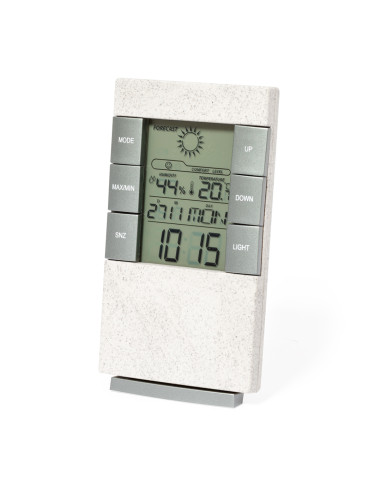 Estación Meteorológica Maginly