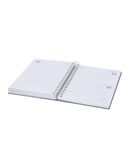 Agenda Sinclex