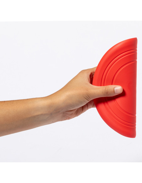 Frisbee Girud