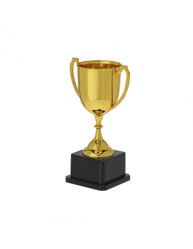Trofeo Nynor