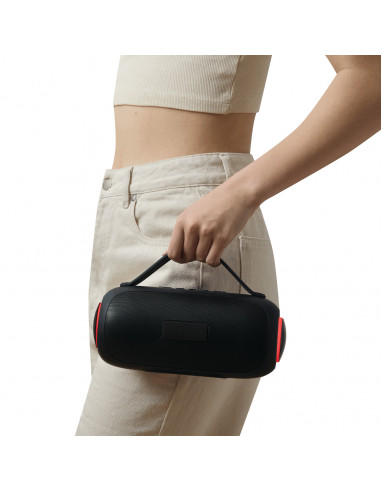 Altavoz inalámbrico GIGA BOOM