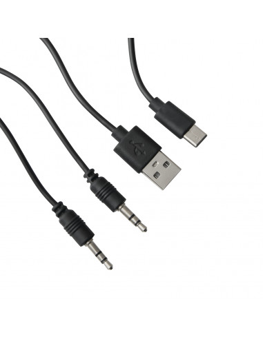 Altavoz inalámbrico GIGA BOOM