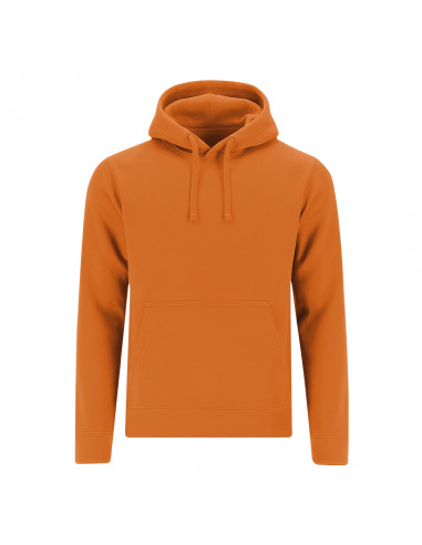 Sudadera Adulto Draco