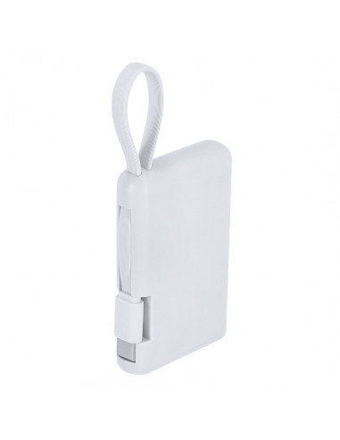 Power Bank Brandin