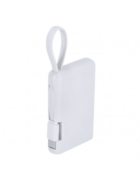 Power Bank Brandin