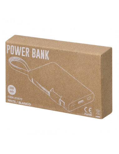 Power Bank Brandin
