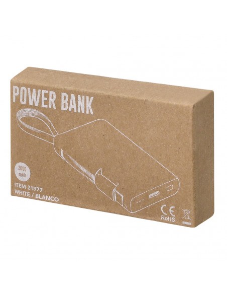 Power Bank Brandin