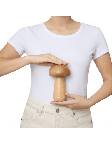 Lámpara de mesa LED