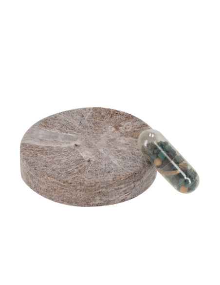 Pack Plantable Aquael