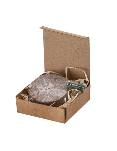 Pack Plantable Aquael