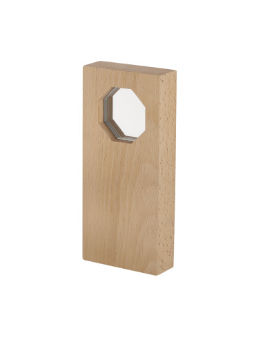 Placa Trofeo Taorex en Madera y Cristal