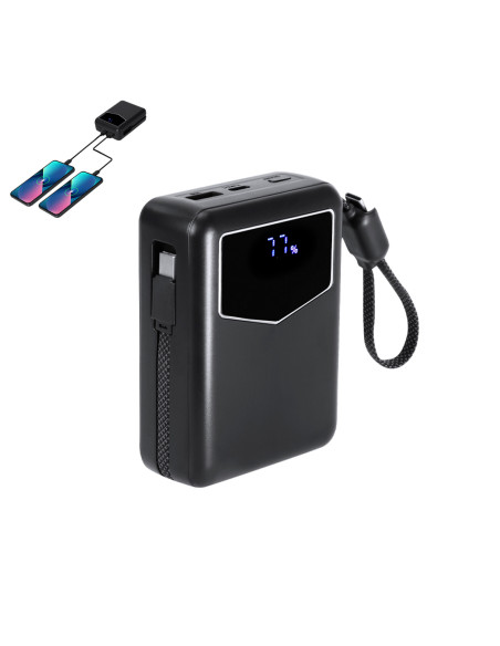 Power Bank Evron
