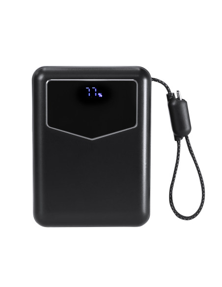 Power Bank Evron