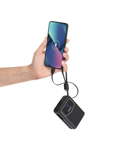 Power Bank Evron
